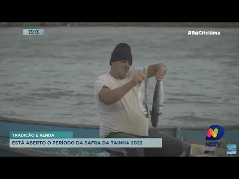 Pesca da tainha inicia no mês de maio e movimenta pescadores, comércios e consumidores