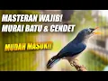 Lagu SANGAT BAGUS!! MASTERAN MURAI BATU \u0026 CENDET ROLL TEMBAK SPEED RAPAT MEWAH RAMBATAN PARUH MERAH GACOR