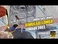 Download Lagu SIMULASI LOMBA MURAI BATU TERBARU 2023 🔥🔥🔥