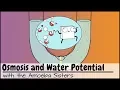 Osmosis and Water Potential Updated