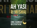 Download Lagu Surah Yaseen Qari Sheikh Mishary Alfasy #peace #nature #beautiful