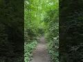 Gallagher Fen State Preserve Springfield OH