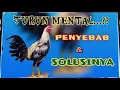 Lagu SOLUSI 4YYM P3NAKUT - HILANG M3NTAL #ayampenakut #turunmental #hilangmental #leres #bacol