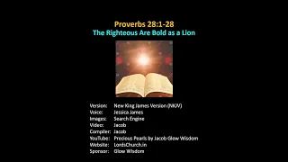 Proverbs 28 - The Righteous Are Bold as a Lion Talking Bible NKJV New King James Bible