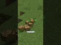Download Lagu JANGAN LETAKKAN SAPLING SEPERTI INI LAGI DI MINECRAFT