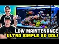 Download Lagu EASY MODE 50 Gallon Reef Tank! Vibrant Corals with SIMPLE Methods!