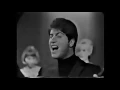 Johnny Rivers ~ Secret Agent Man