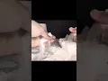 Crispy, Sandy Baking Soda ASMR Bricks 🧱 #asmr #explore