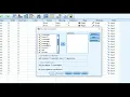 Pearson Correlation with Likert Scale Data in SPSS