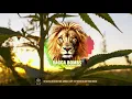 Ed Solo & Deekline feat. General Levy - VIP Sound (Benny Page Remix)