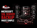 Enterprise MS SQL Backup Software Bacula Enterprise Microsoft SQL Server Backup