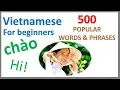Vietnamese for Beginners 500 Popular Words Phrases Learn by Example