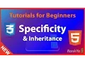 CSS Specificity and Inheritance - html5 CSS Course