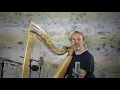 Autre Chose pour Harpe à Leviers / Chenille / Harpe et composition François Pernel