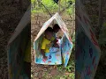 Download Lagu Sibocil camping di tengah hutan #shorts