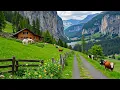 Lagu Restore Your Nervous System 🍃 Relaxing Music \u0026 Nature Sounds for Deep Sleep and Stress Relief  #9