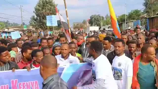 Hiriira Gammachu Hidha Haaromsa Itoophiya Harargee Bahaa Fi Magaala Maayaa Ethiopia Oro Habesha 