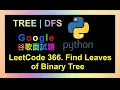 leetcode Find Leaves of Binary Tree Google Leetcode 366 Python