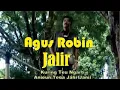 Agus Robin-Jalir