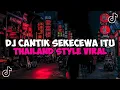 Download Lagu DJ CANTIK SEKECEWA ITU THAILAND STYLE JEDAG JEDUG MENGKANE VIRAL TIKTOK 2024