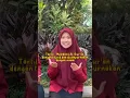 Perbedaan Murottal \u0026 Mujawwad Part 1 #tilawahmudah#belajarqiroah#uinmlg#upkmjdfi #uinmalang