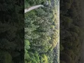 Download Lagu Forest Vibe!!! #dronefootage  #droneview #drone #djimavicmini #aerialview #forest #2k25 #octombrie
