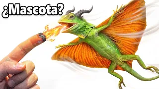 Consiguí un Dragón de Mascota... (realmente vuela)
