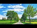 Download Lagu Surah Al-Maun By Sheikh Abdur Rahaman As-Sudais