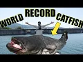 Hunting the DAM MONSTER Short Documentary World Record Catfish in Historical Deep Lake