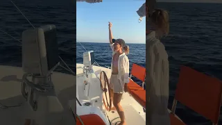 When your friends invite you on a night out, but your club has dolphins and sunsets 🪩🌊💃