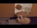 Download Lagu Teeny Tiny Ginger Kittens Playing