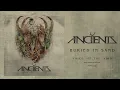Anciients - Voice of the Void (Full Album Stream)
