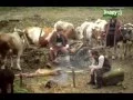 Download Lagu TAJNA NEČISTE KRVI (13.deo) - epizoda VI