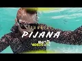 Download Lagu CONNECT - PIJANA (OFFICIAL VIDEO)