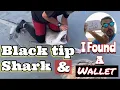 BLACK TIP SHARK catch release with NSB Shark hunters