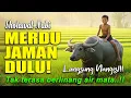 Download Lagu SHOLAWAT JAMAN DULU TAHUN 80AN | SHOLAWAT BURDAH MERDU VERSI TERBARU, SHOLAWAT JAWA, SHOLAWAT LAWAS
