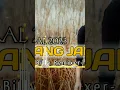 Download Lagu Bang Jali Joget Viral Tiktok 2023 ‼️