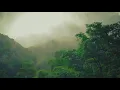 Morning Jungle Sounds - Vietnam. 5 Hours+ Relaxing Nature Sounds for Sleeping, Meditation or Work.