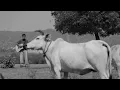 Milunga Tumhein - Rahgir