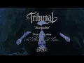 Download Lagu TRIBUNAL - Incarnadine (Official Video) 20 Buck Spin