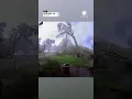 Tornado Levels EVERY Tree In Yard Portage MI