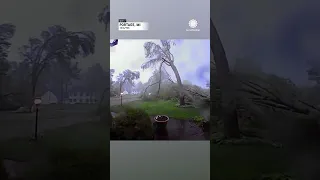 Tornado Levels EVERY Tree In Yard Portage MI
