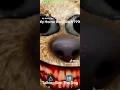 My Horror Ben Glitch 1999 Talking Ben The Dog