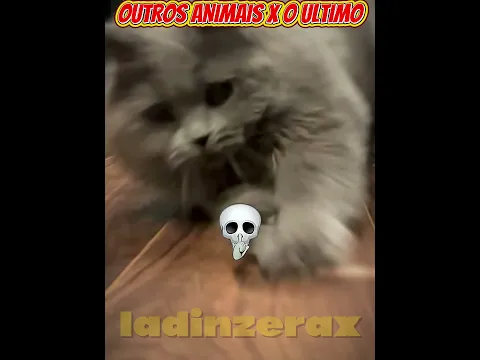#aesthetic