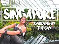 Gardens by the bay Mesmerising waterfalls super trees and flowers