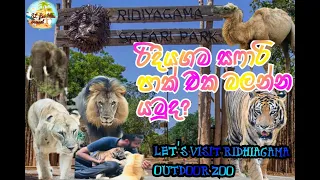 ridiyagama safari park in sri lanka travel with lasika ridiyagama safari 
