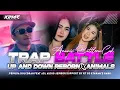 Download Lagu DJ Battle Up and Down x Animals Reborn (Jinggle Pemuda Dolcorah ft ASL Audio Jember) - Kinar Project