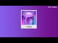 Download Lagu VMZ - Purple (Letra)