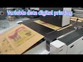 Single pass digital printer with variable data printing