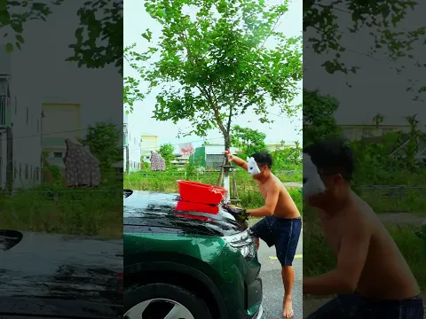 Quy Shorts - Giải Trí Nào (p960) #shorts #quyshorts , #Phunganfamily